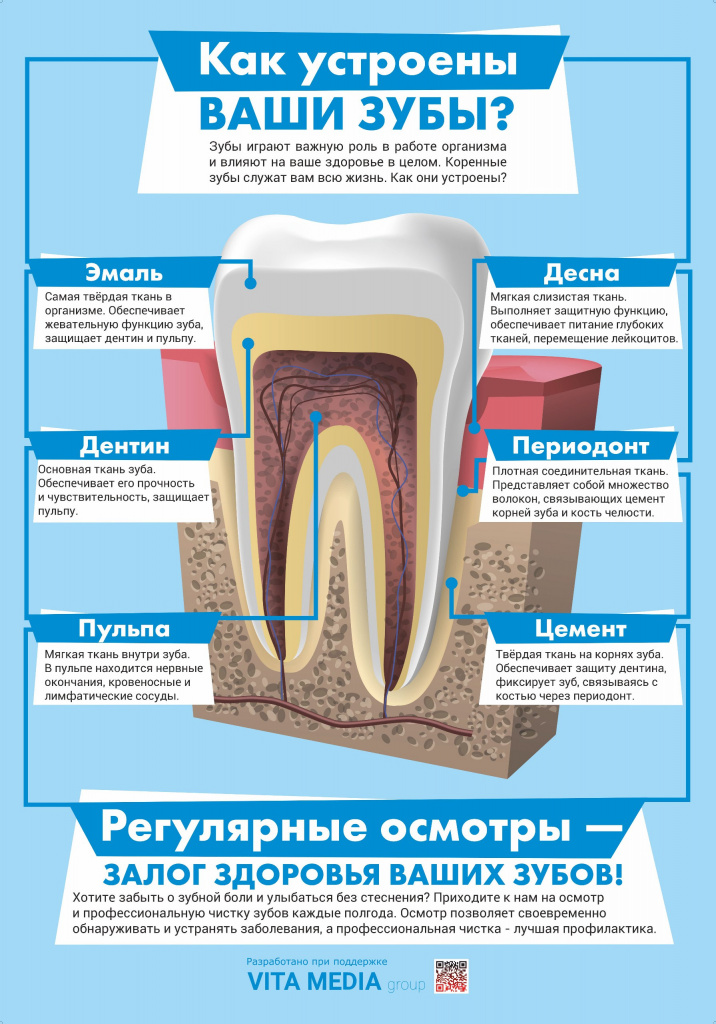 Неделя ответственного отношения к здоровью полости рта
