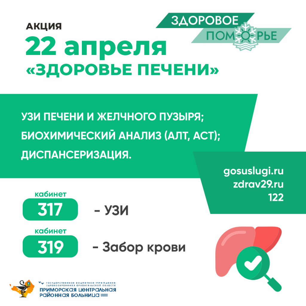 Акция Здоровое Поморье | Здоровье печени
