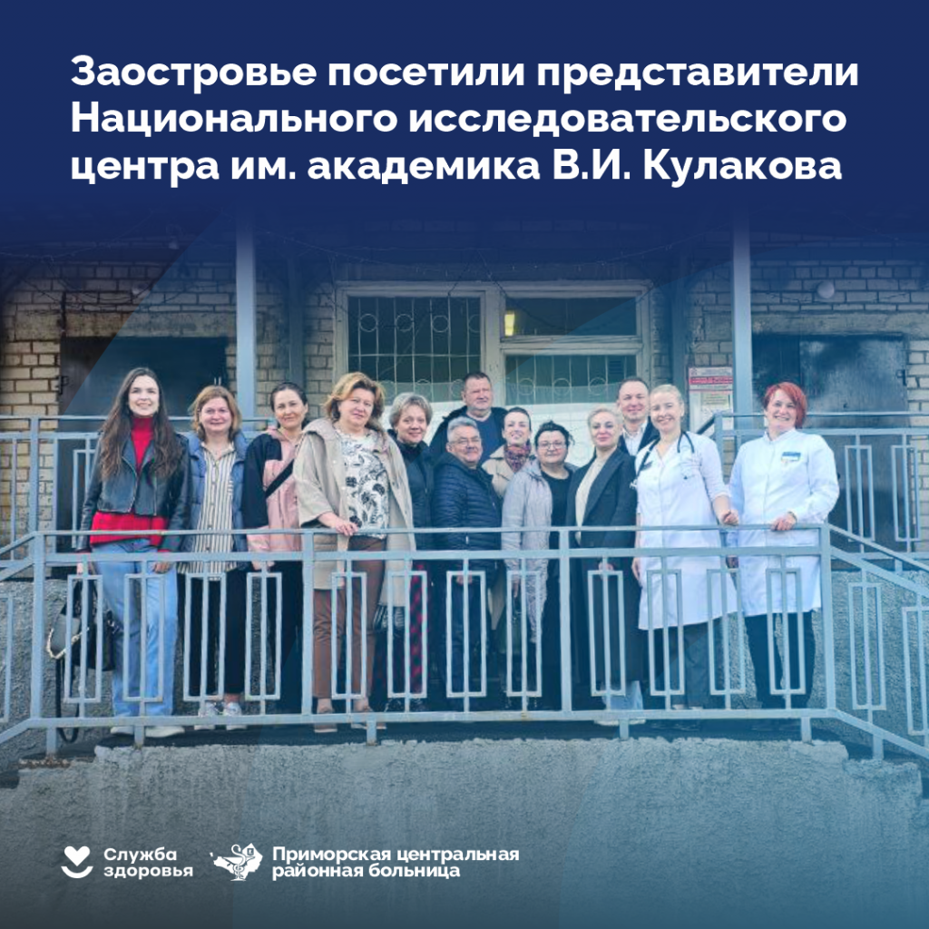 Заостровье посетили представители Национального исследовательского центра