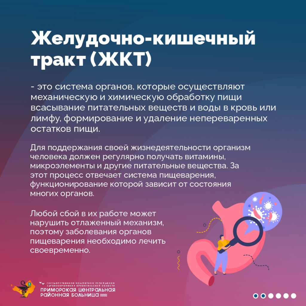ЖКТ2.png ЖКТ2.png