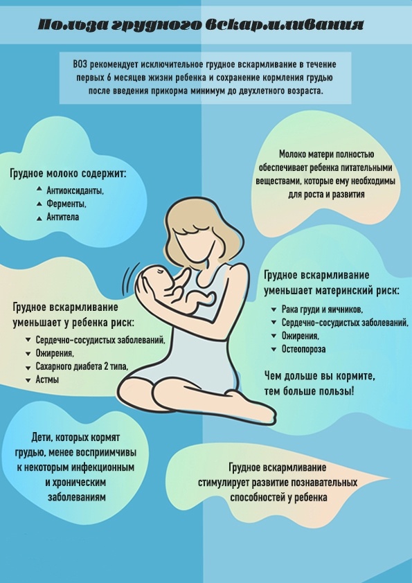 22222.jpg 22222.jpg