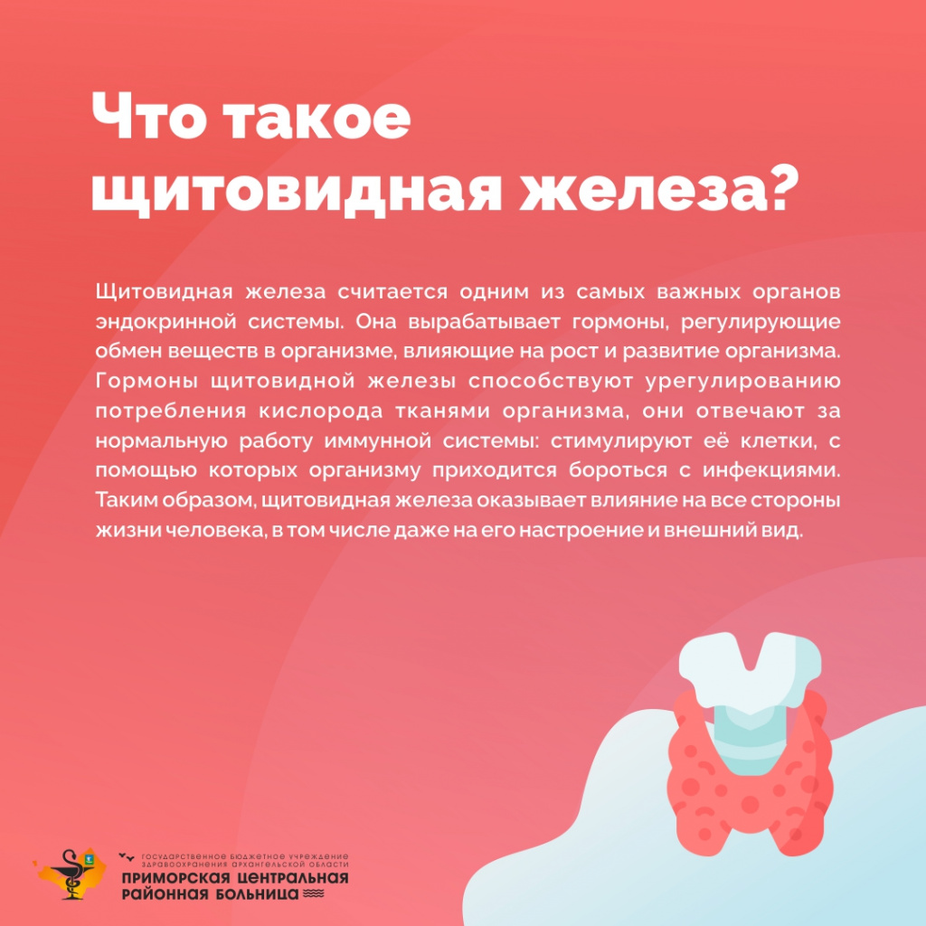 2.jpg 2.jpg